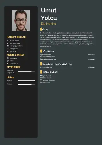 Diş Hekimi cv indir